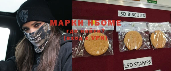 хмурый Осинники