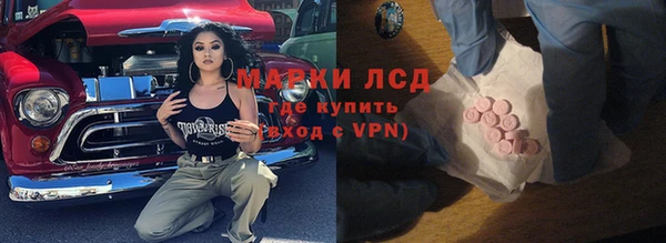 хмурый Осинники