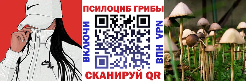 Галлюциногенные грибы прущие грибы  Котово 
